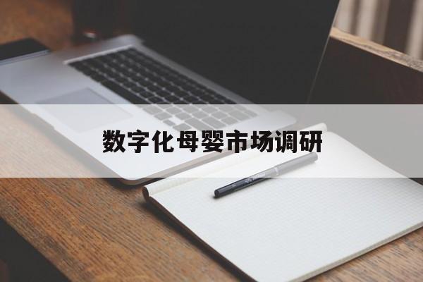 忻州市数字化母婴市场调研(数字化母婴市场调研报告)